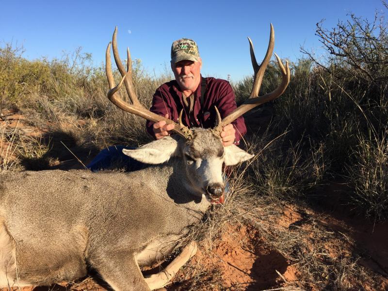 NEW MEXICO MULE DEER HUNTS 2016-17 | Outfitters & Guides | Texas ...
