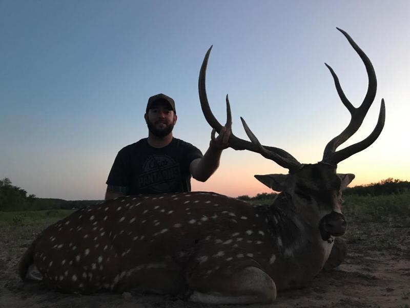 free range axis hunts in Texas<br>