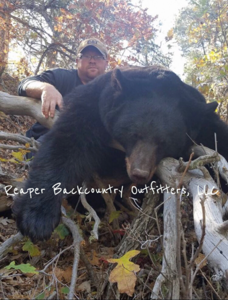 New Mexico Guaranteed Black Bear Hunts Texas Hunting Forum