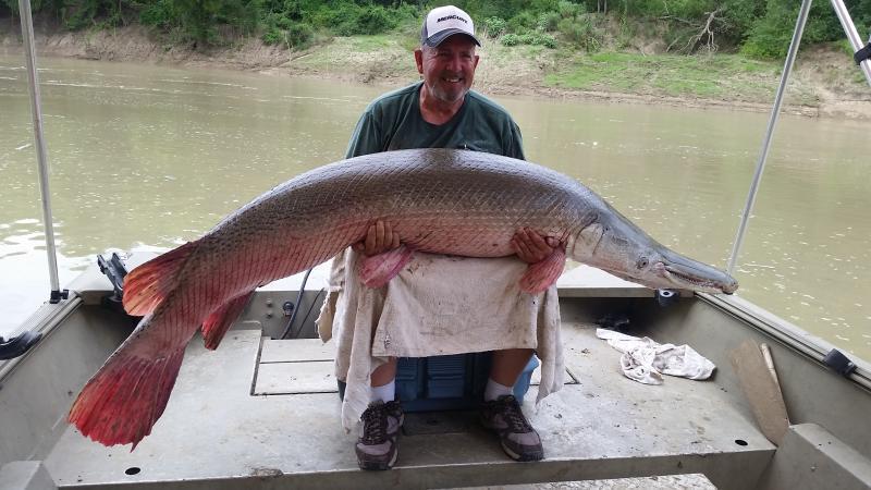 Guided Rod and Reel Alligator Gar Fishing Trips - Texas Hunting Forum