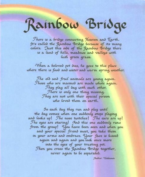 rainbow-bridge-texas-hunting-forum