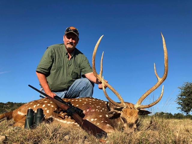 axis deer hunting in texas hill country
