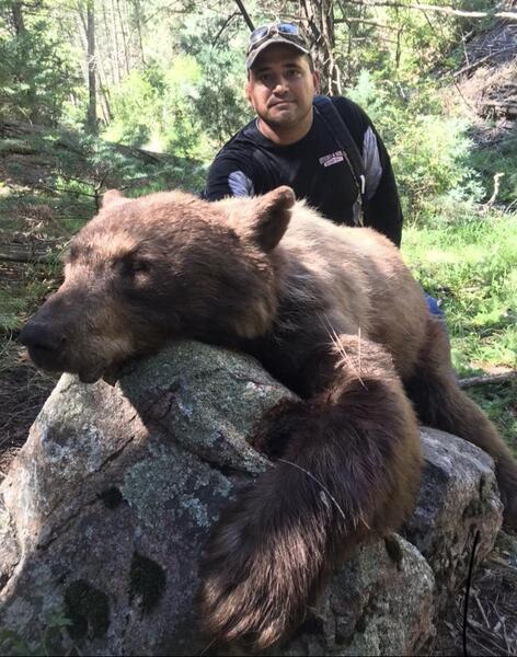 New Mexico Bear Hunts Texas Hunting Forum