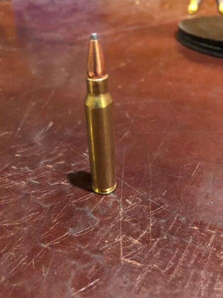 223 ammo FS/FT - Texas Hunting Forum