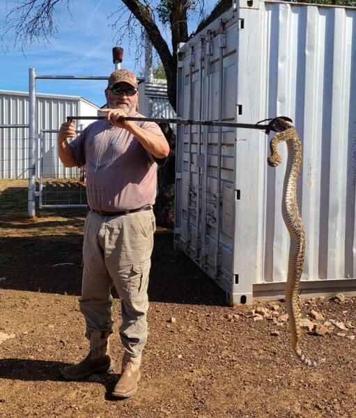 Rattlesnake hunt Texas Hunting Forum