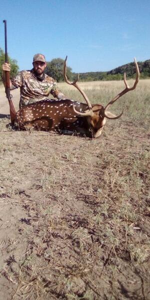 Free range axis hunts - Texas Hunting Forum