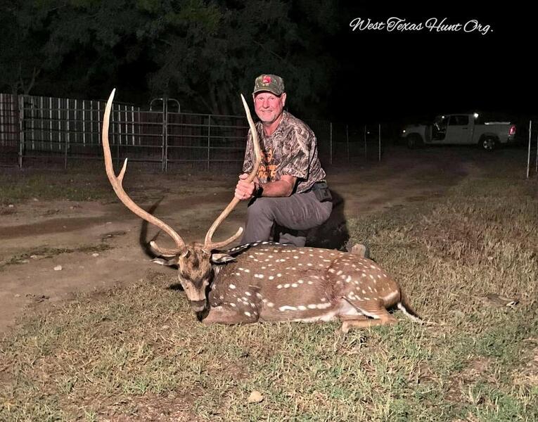 free range axis hunts in Texas<br>