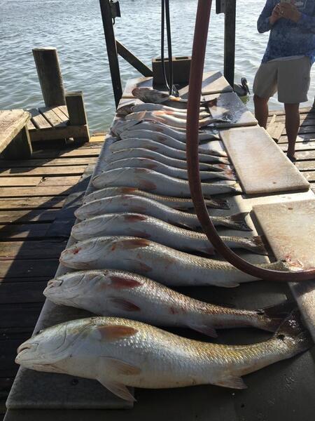 Ever been flounder gigging? It's a fun way to spend a night at the TX  coast! This was out of San Luis Pass. : r/texas