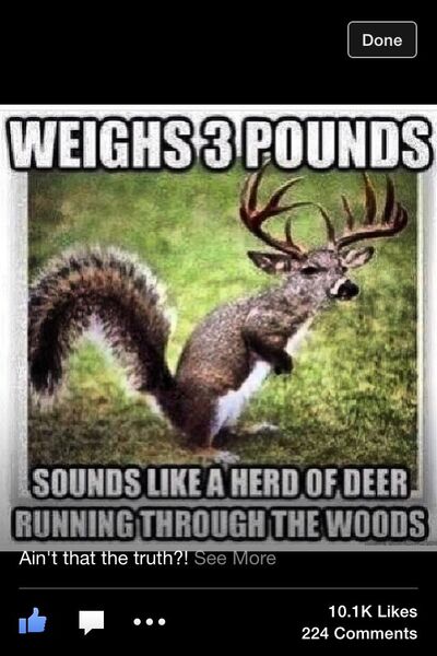 deer memes - Texas Hunting Forum
