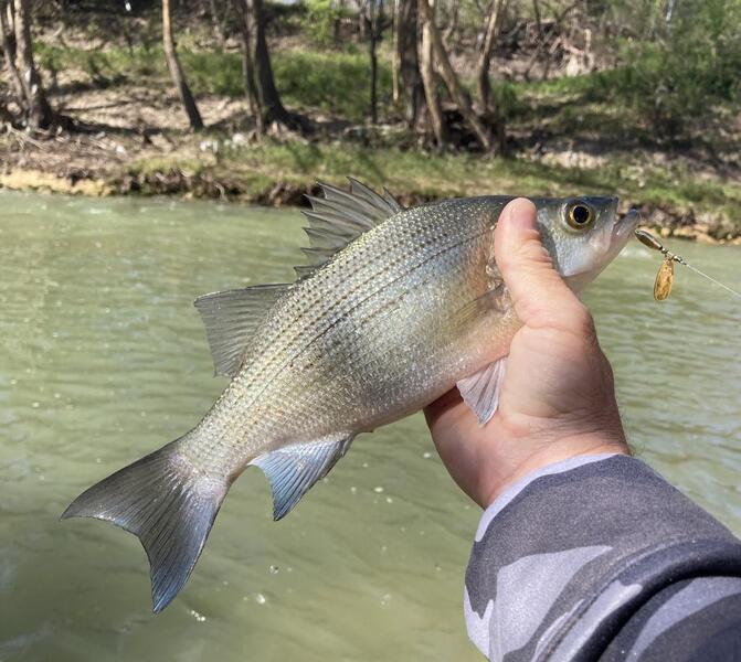 Texas Hot Spots for 2018 Crappie Fishing - Game & Fish