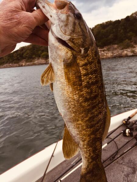 BROWN BASS TOOLS ~ Questions & Answers - Page 3 - Smallmouth Bass Fishing -  Bass Fishing Forums