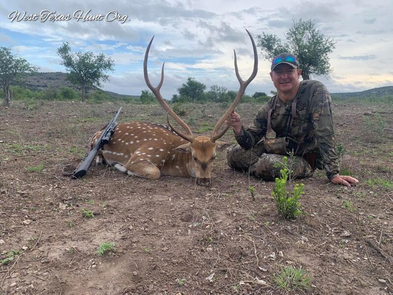 free range axis hunts in Texas
