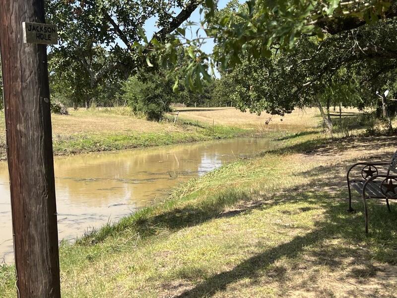 Weed/algae eating fish - Texas Hunting Forum