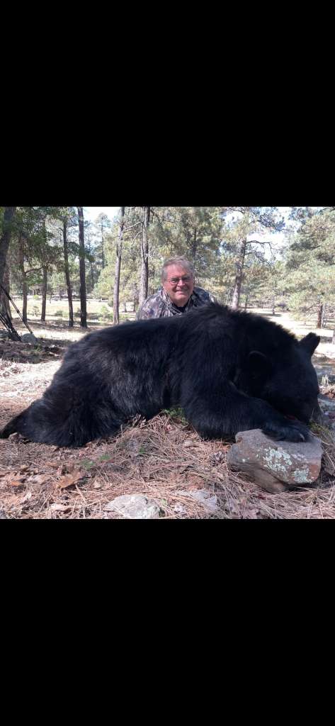 Recommended Guided Bear Hunt Arizona- San Carlos Indian Reservation - Texas  Hunting Forum
