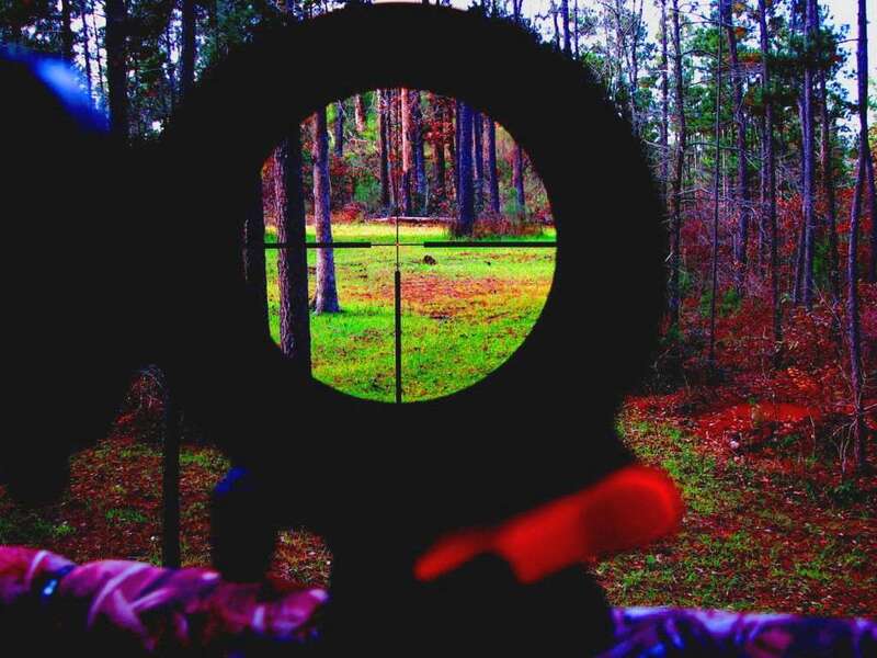 Attached picture reticle_2.jpg