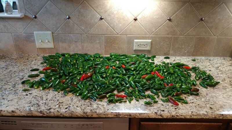 Attached picture Peppers.jpg